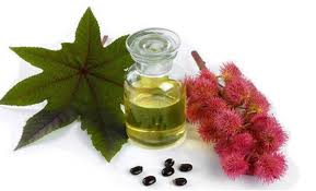 CASTOR OIL